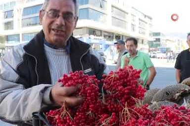 “Gençlik İksiri” gilaburu tezgahlarda yerini aldı