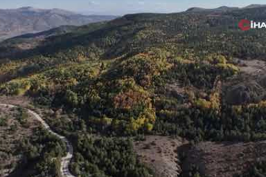 Karagöl Tabiat Parkı’nda sonbahar, renkli görüntüler oluşturdu
