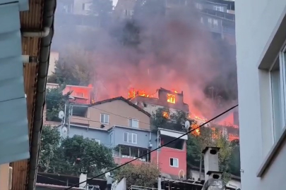 Uludağ eteklerinde korku dolu anlar!