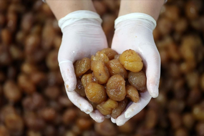 Bursa Kestane Şekeri Avrupa sahnesinde!
