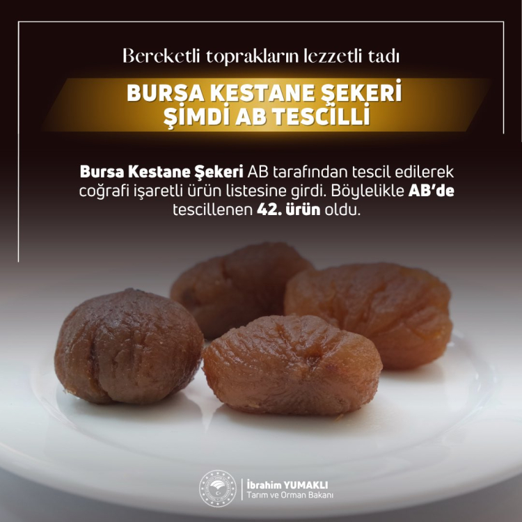 “Bursa Kestane Şekeri Avrupa sahnesinde! Coğrafi işaret tescili alındı -Bursa Hayat-2