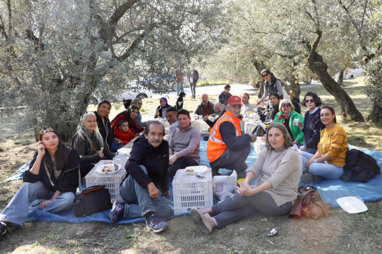 Mudanya’da “Zeytinine Dokun” hasat şenliği başladı - Bursa Hayat Gazetesi-4
