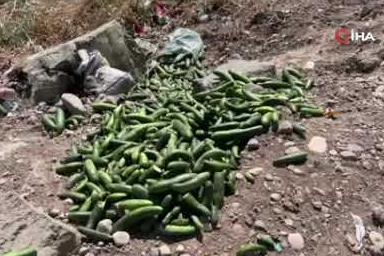 Aksu Çayı'nda kirlilik: Fabrika atıkları çevreye zarar veriyor, atık sular Sır Barajı'na ulaşıyor