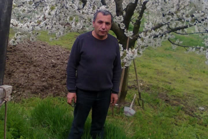 Bursa'da budadığı ağaçtan düşen adam hayatını kaybetti