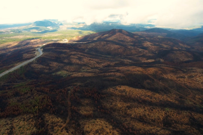 Bursa’da yanan ormanlar 300 bin fidanla yeniden yeşillenecek