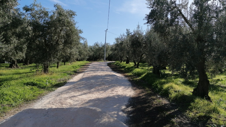 Orhangazi’de parke taşı çalışmalarıyla ulaşım konforu artıyor - Bursa Hayat Gazetesi-2