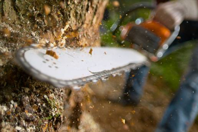 Yakacak odun kesiyordu! Bursa’da motorlu testere kontrolden çıktı