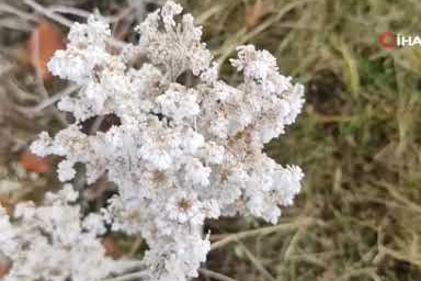 Göle eksi 13 derece, ağaçlar kırağı tuttu