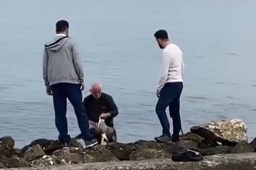 Bursa'da vatandaşların duyarlılığı martıyı hayata döndürdü