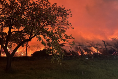 İzmir’de çöp depolama alanında yangın!