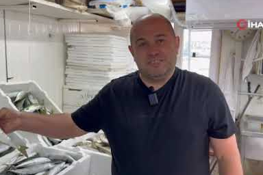 Karadeniz'de hamsi bereketi diğer balık türlerini de canlandırdı