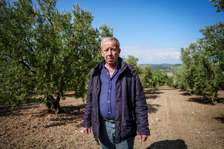 Bursa’da kuraklık tarımı vurdu: Kalite ve verimde büyük düşüş!-Bursa Hayat Gazetesi-7