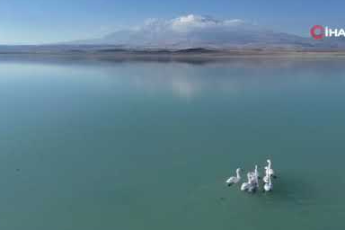 Arin Gölü’nde flamingolar gitti kuğular geldi