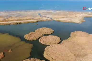 Van’da sarı ve kızıl tonların dansı: Sonbaharın mest eden manzarası