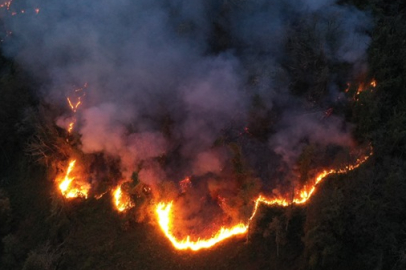Artvin’de örtü yangını: Müdahale sürüyor!