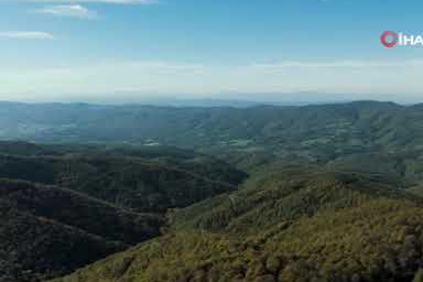 Biga'da sonbahar renklerine bürünen ormanlar havadan görüntülendi