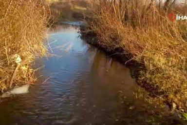 Sonbaharda sararan yapraklar görsel şölen oluşturdu