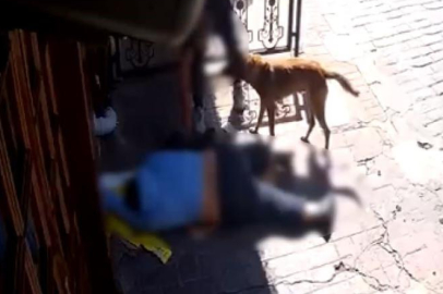 Sara nöbeti geçiren vatandaşın telefonunu çaldılar!