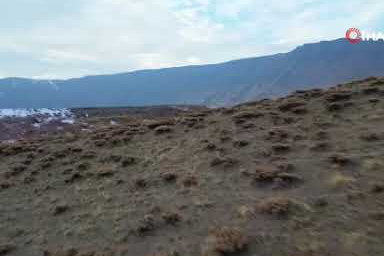 Bitlis’in Nemrut Kalderası, at sürüleriyle ziyaretçilerini büyülüyor