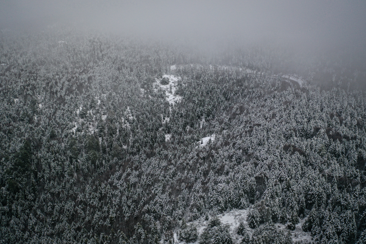 Kar yağışı sonrası Uludağ’da eşsiz güzellik!-Bursa Hayat Gazetesi-4