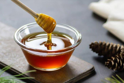 Süzme balda sahtecilik! Bursa da listede