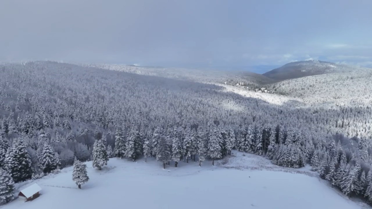 Bursa Uludağ’da kar seviyesinde ciddi düşüş! -Bursa Hayat-2