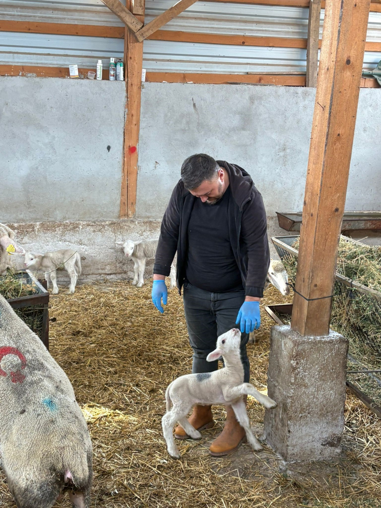 Şap Krizi: Üretici destek çağrısı yapıyor!-Bursa Hayat-2