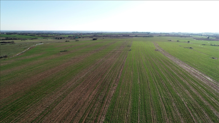 Yeni vergi düzenlemesi Meclis’ten geçti! Tapudan araca, kiradan sağlığa neler değişti?-Bursa Hayat Gazetesi-4