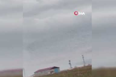 Sığırcık kuşları havada görsel şölen oluşturdu