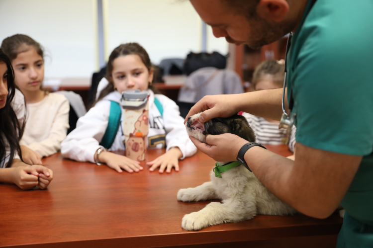 Bursa’da çocuklar bir günlüğüne veteriner hekim oldu -Bursa Hayat-2