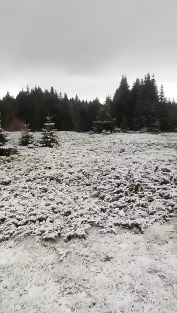 Uludağ’da kar keyfi! Bursa’da sarı kodlu uyarı yapıldı -Bursa Hayat-2