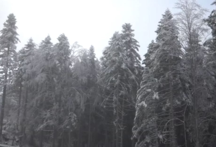 Uludağ’da yoğun sis! Görüş mesafesi 5 metreye düştü -Bursa Hayat-2