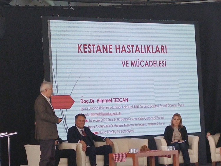 Bursa kestanesinin geleceği panelde masaya yatırıldı -Bursa Hayat-4