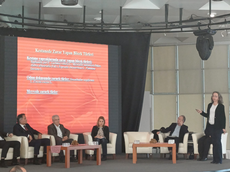 Bursa kestanesinin geleceği panelde masaya yatırıldı -Bursa Hayat-3