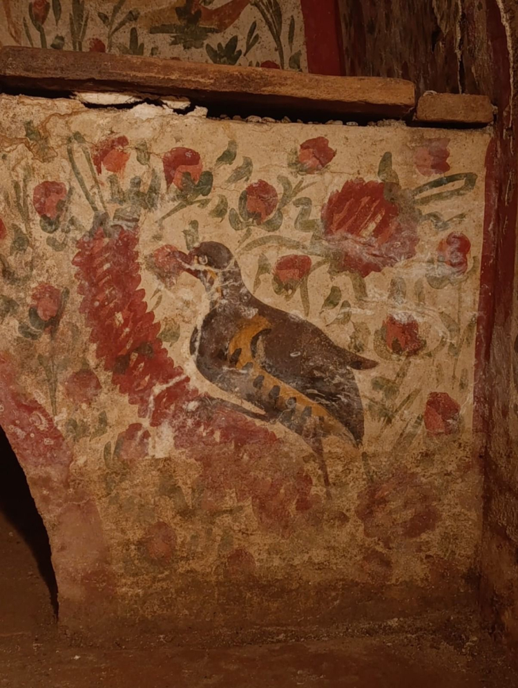 Türkiye'de tek örnek olabilir: Erken hristiyanlık sanatının en nadide eseri İznik'te!-Bursa Hayat Gazetesi-5