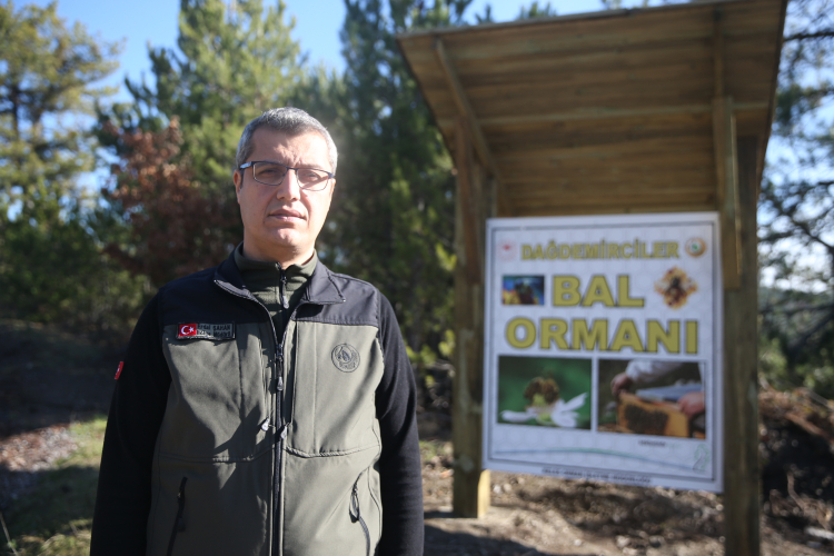 Bursa’da 22. bal ormanı, 5 ton üretim planlanıyor-Bursa Hayat-3