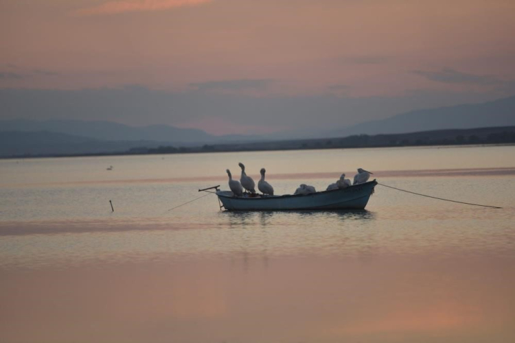 Bursa’da su kıtlığı etkisi! Ekimi yasaklandı -Bursa Hayat-2