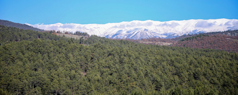 Uludağ eteklerinde balın yeni merkezi!