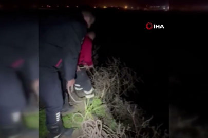 İtfaiye harekete geçti: Su kanalına düşen buzağı kurtarıldı