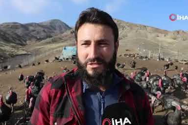 Almanya’dan dönen girişimci Elazığ’da hindi çiftliği kurdu