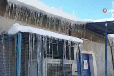 Van Başkale’de dondurucu soğuklar etkili oldu