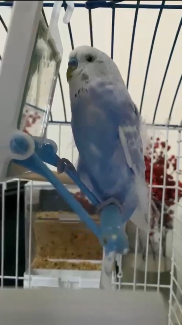 Bursa’lı taksicilerden vefa… Berduş’u unutmadılar-Bursa Hayat-2