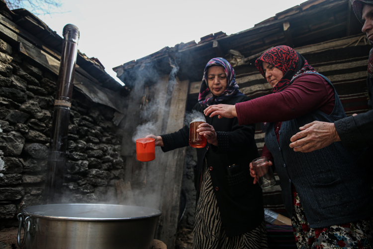 Bursa'da kırsal kalkınmaya örnek proje! Kozalakları pekmeze dönüştürdüler-Bursa Hayat Gazetesi-3