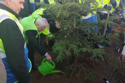 Bursa Büyükşehir Belediyesi’nden örnek adım! 15.028 fidan toprakla buluştu