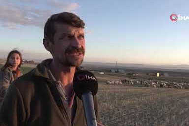 Eskişehir’de ılık hava nedeniyle sürüler meralarda