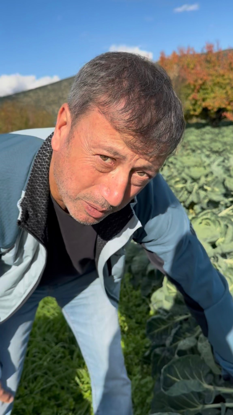 Avrupa’nın lahana adresi: Adı Brüksel, üretim merkezi İznik!-Bursa Hayat-3