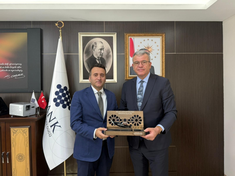 Karabiga, GES projesiyle enerjide yeni döneme hazırlanıyor-Bursa Hayat-2