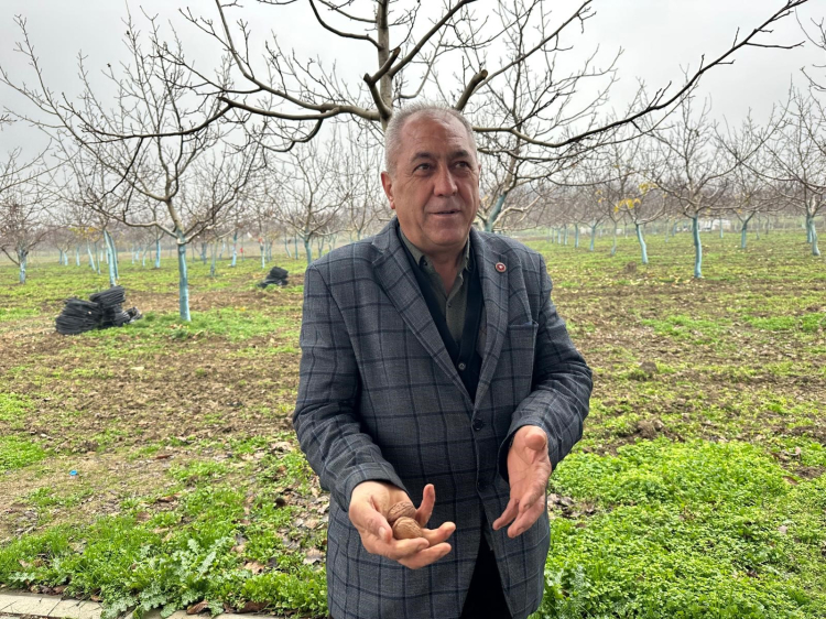 Bursa'nın 'Ceviz köyü' yatırımcıların dikkatini çekiyor!-Bursa Hayat-3