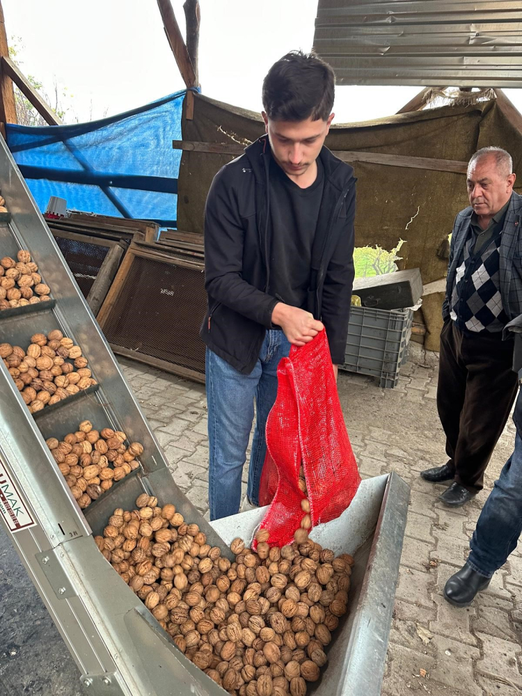 Bursa'nın 'Ceviz köyü' yatırımcıların dikkatini çekiyor!-Bursa Hayat-4