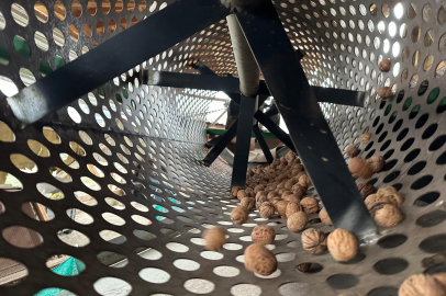 Bursa'nın 'Ceviz köyü' yatırımcıların dikkatini çekiyor!